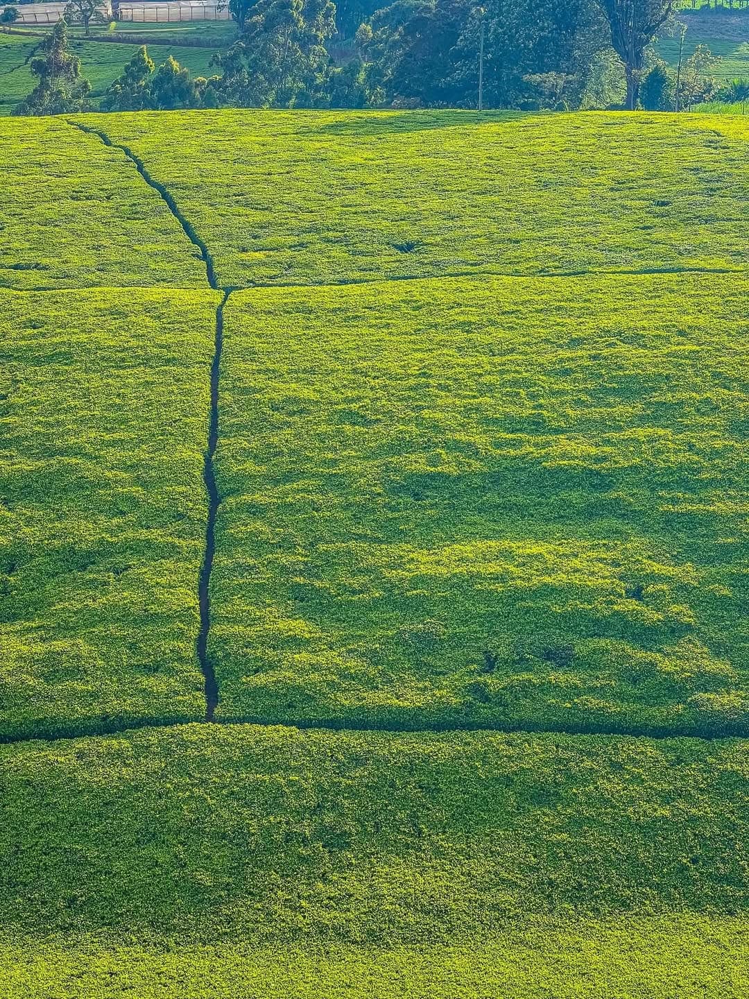 Bold Strength & Energizing Comfort