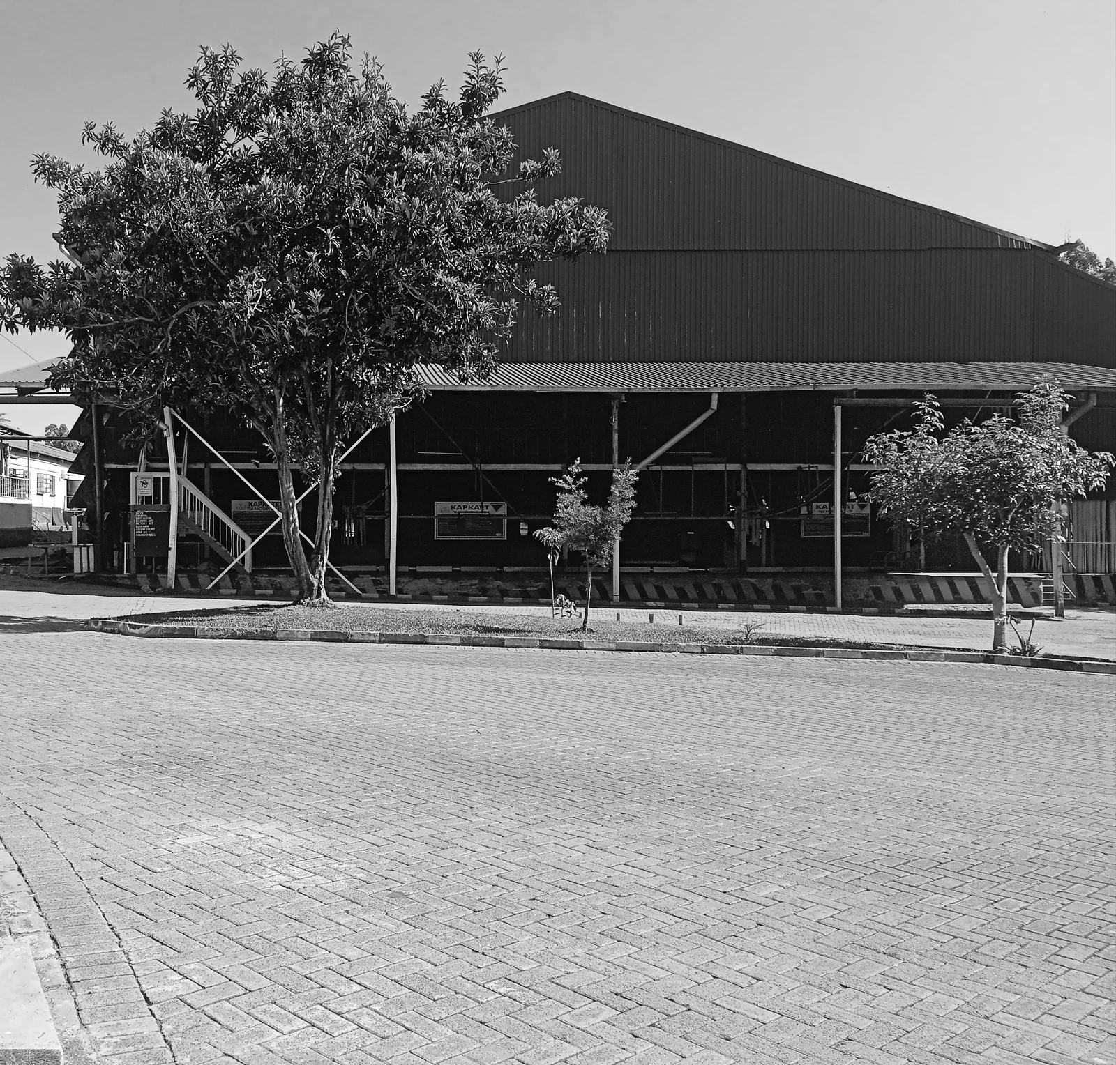 Fusion Leaf tea factory exterior in Gatanga, Murang'a County